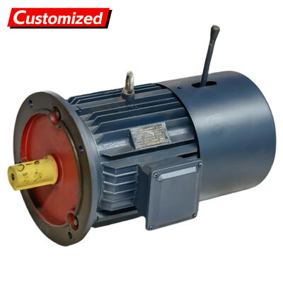 良い価格 Explosion-Proof Variable Frequency Drive Motor with Braking Function and IP55 Protection for Industrial Applications オンライン