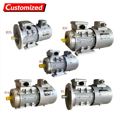 良い価格 1400 RPM Three-Phase AC Variable Frequency Drive Motor with Soft Start and Stepless Speed Regulation オンライン